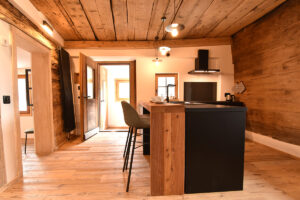 tga_franzestg_riom_savognin_holiday_house_03_entrance_kitchen_LOW